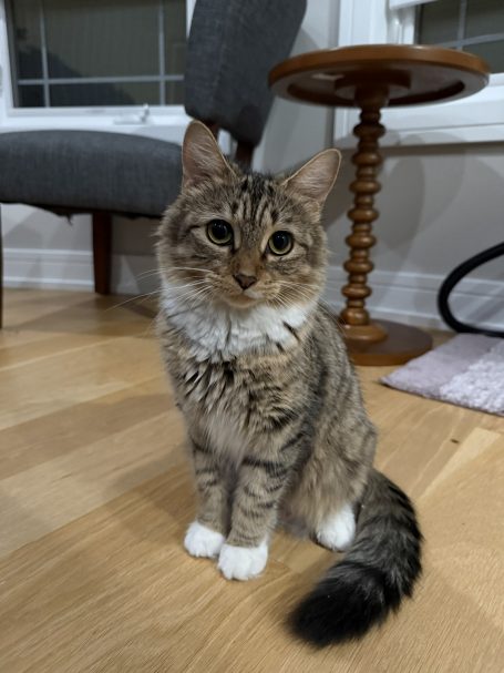 Zoe