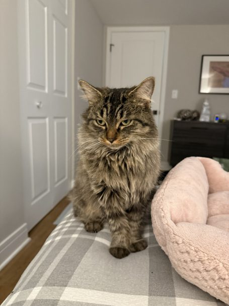 Millie